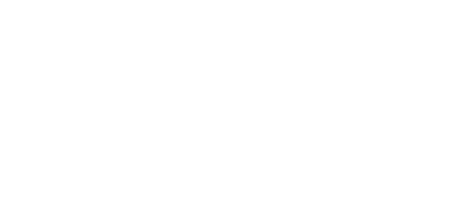 BDSM Beds